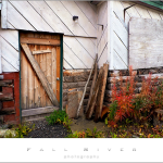 Alaska Shop