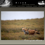 Print of the Month